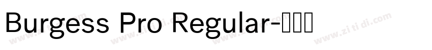 Burgess Pro Regular字体转换 Burgess Pro Regular字体转换